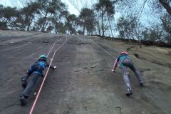 IMG-20260325-WA0004